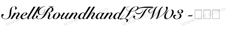 SnellRoundhandLTW03 字体转换